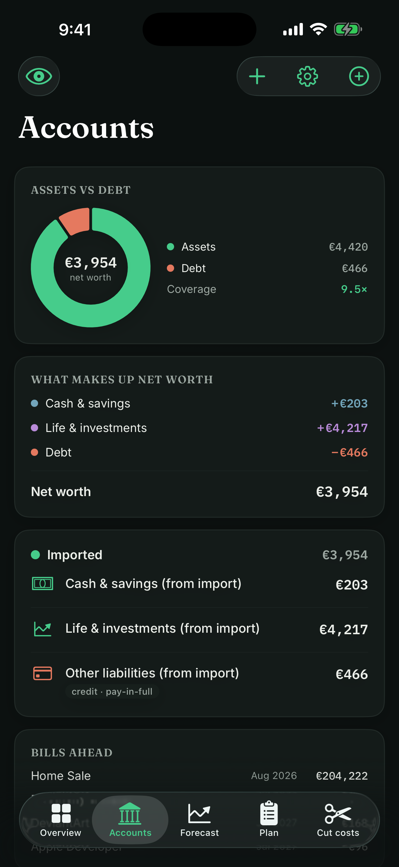 Cashflow Accounts — assets, debt and net worth